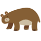 Brown Bears